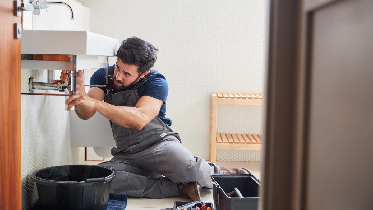 A Plumber Repairing A Bathroom Leak.